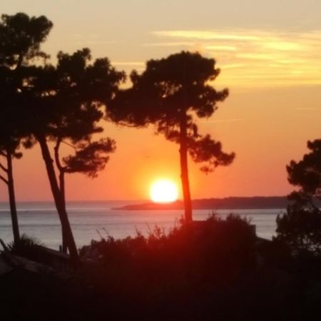 Chambre D'Hotes Pyla Sur Mer La Teste-de-Buch Eksteriør billede